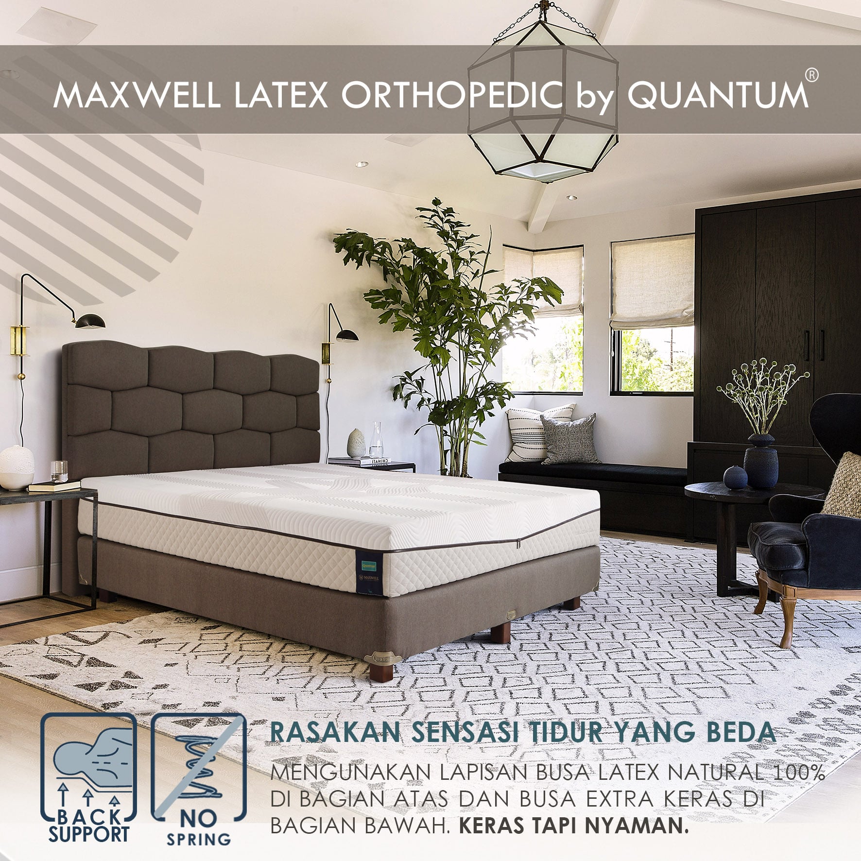 01 Maxwell Latex Ortho (1)-min